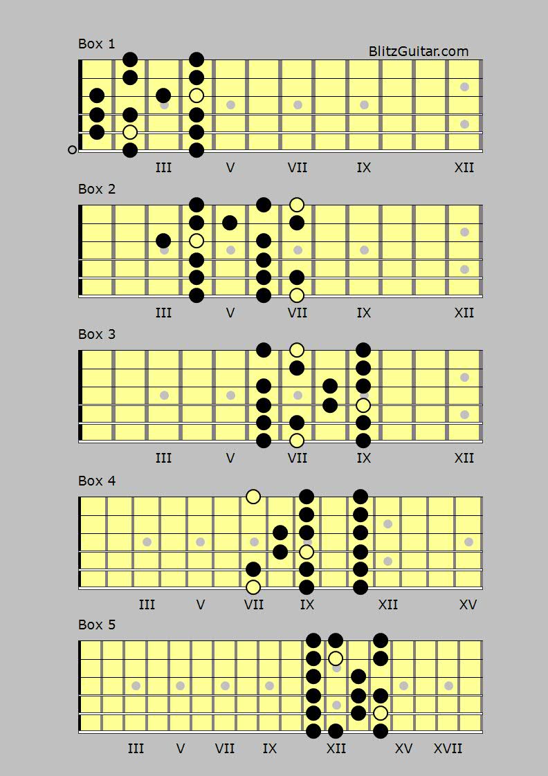 B Major Scale Diagram For Guitar – FINGERSTYLE GUITAR LESSONS