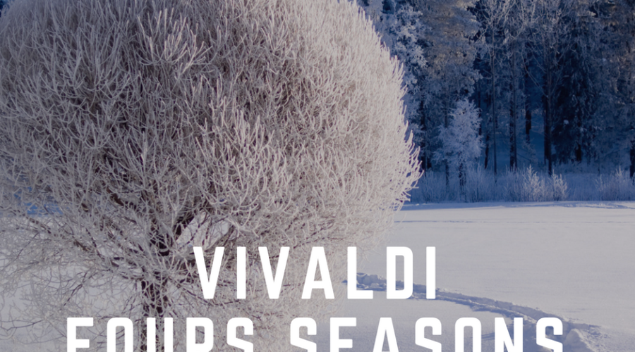 Vivaldi Fours Seasons on Acoustic Guitar - Winter Largo