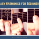 Natural Harmonics on Acoustic Guitar for Beginners