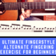 Ultimate Fingerstyle Alternate Fingering Exercise for Beginners