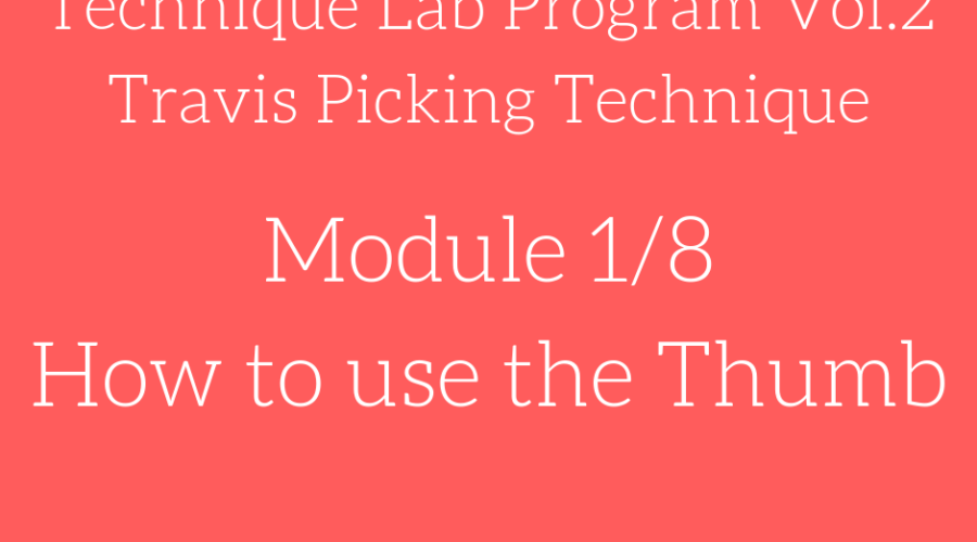 Technique lab module 1 vol.2 travis picking technique