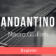 Beautiful Classical Melody by Mauro Giuliani – Andantino