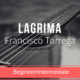 Lagrima by Francisco Tarrega Fingerstyle Guitar Lesson