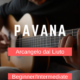 Beautiful Classical Piece: Pavana in A minor by Arcangelo dal Liuto