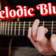 MELODIC FINGERSTYLE BLUES … C Major Blues “Made in Italy”